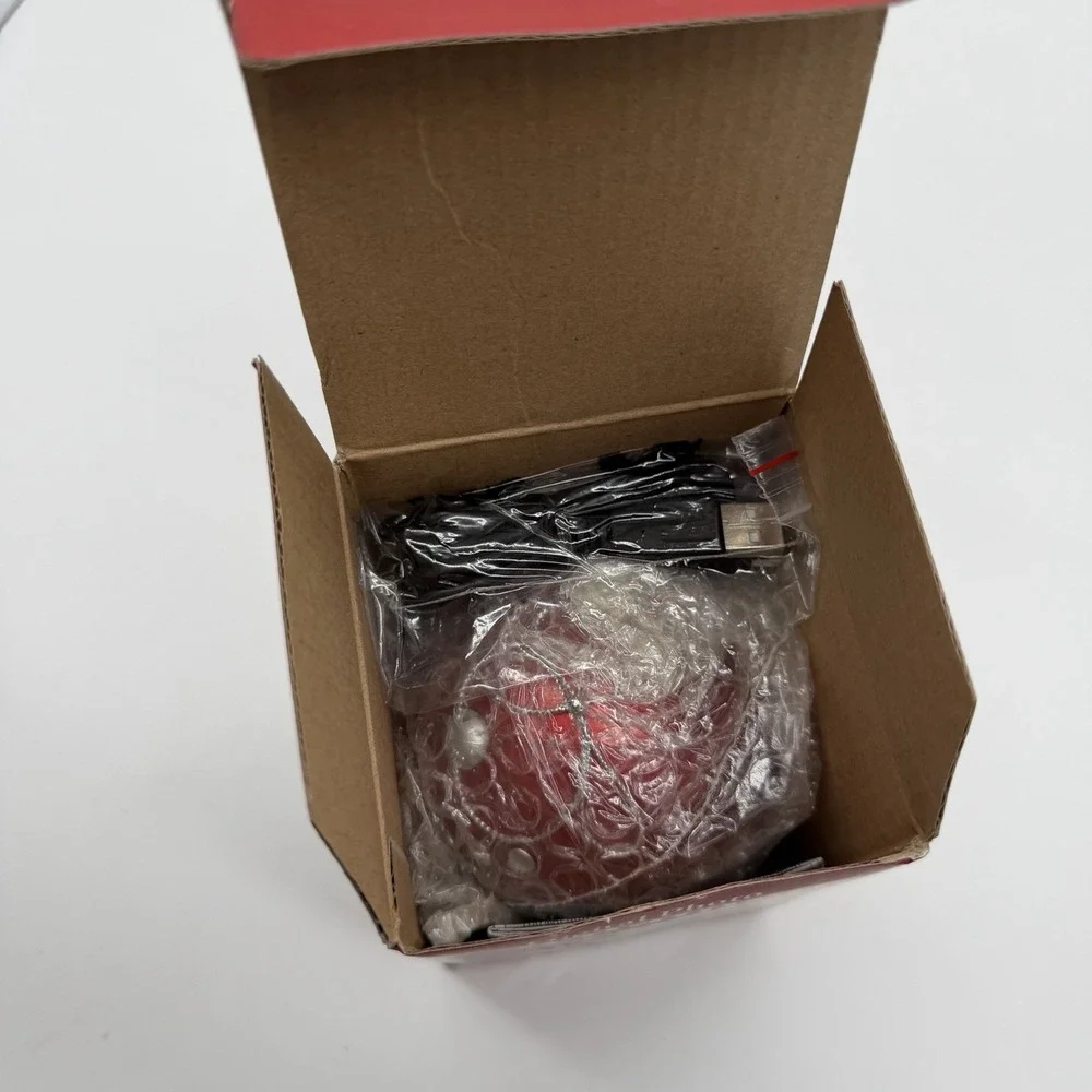 Brushfire Designs Hand Painted Lighted Glass Ornament USB Decor NIB Gift
